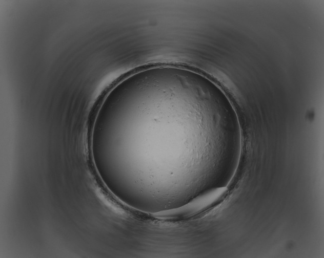 X0000093461030200710191119