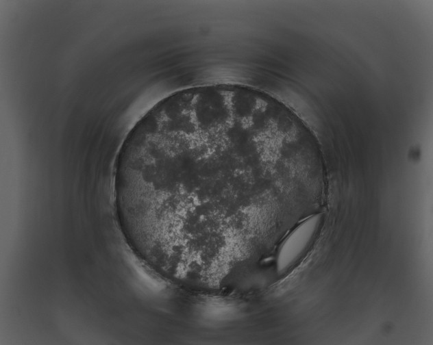 X0000093461031200710191119