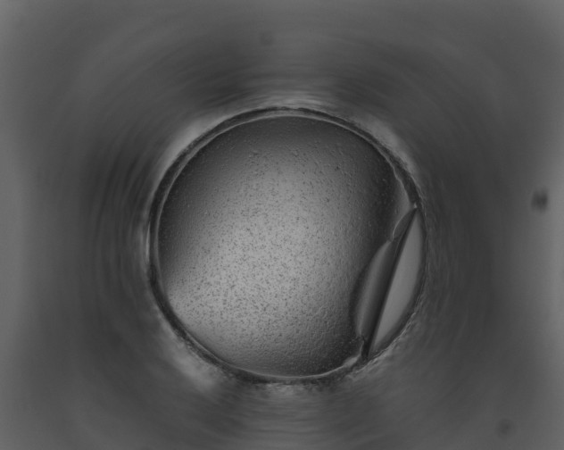 X0000093461032200710191119