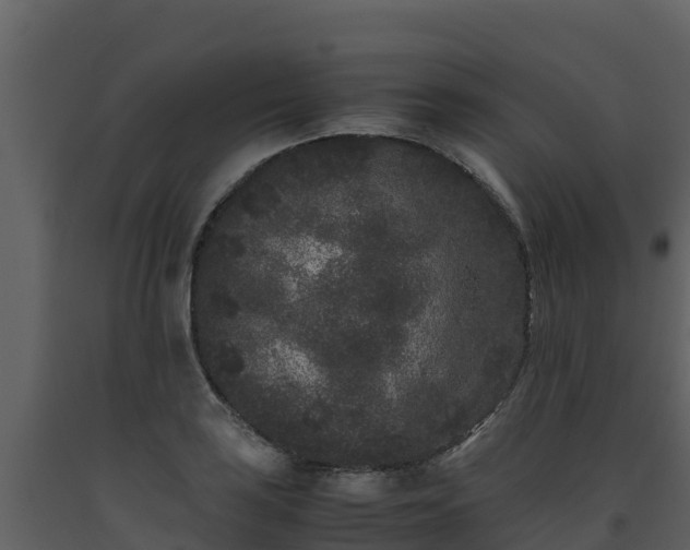 X0000093461035200710191119