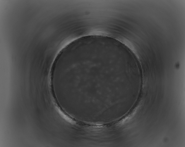 X0000093461037200710191119