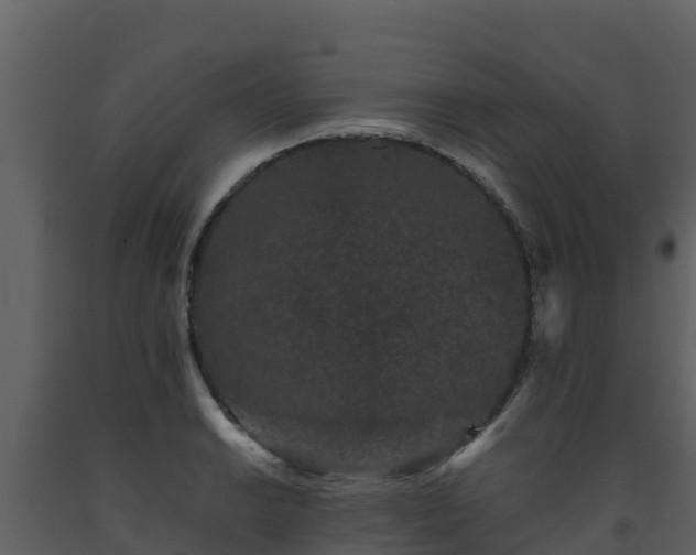 X0000093461038200710191119