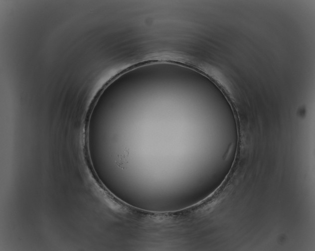 X0000093461040200710191119