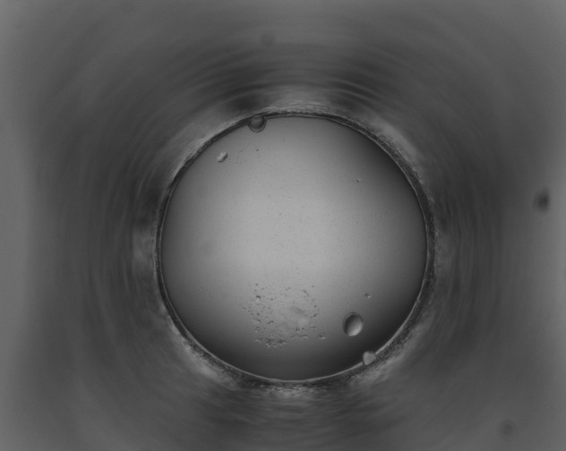 X0000093461041200710191119