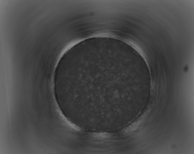 X0000093461045200710191119