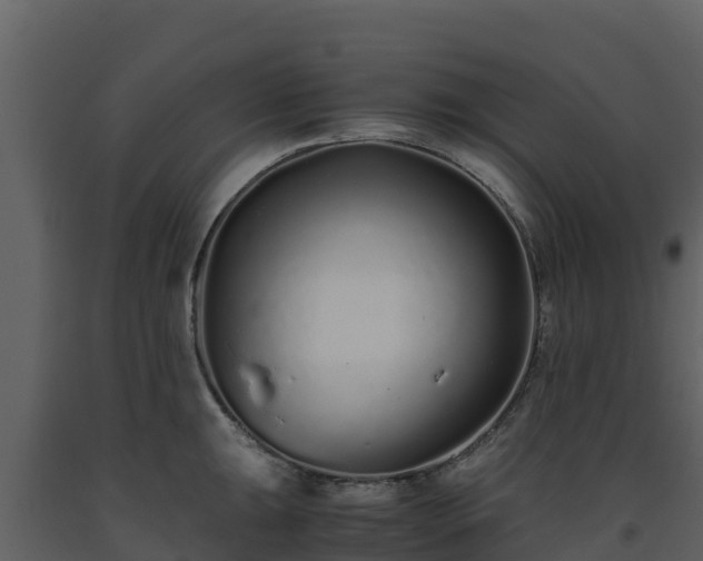 X0000093461047200710191119