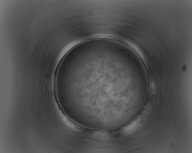 X0000093461050200710191120