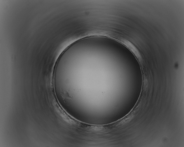 X0000093461052200710191120