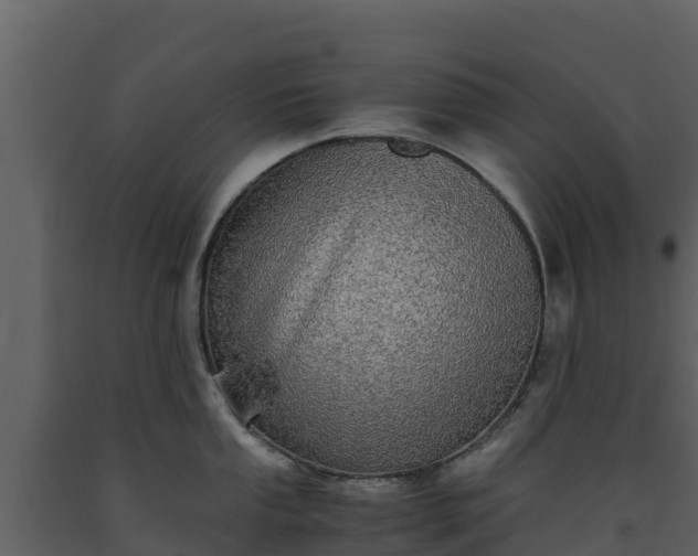 X0000093461053200710191120