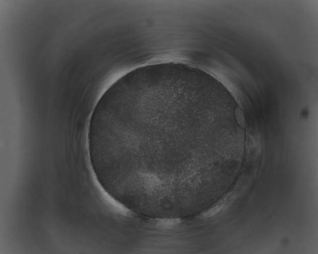 X0000093461055200710191120