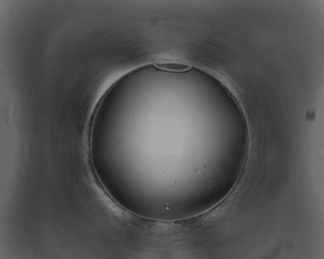 X0000093461056200710191120