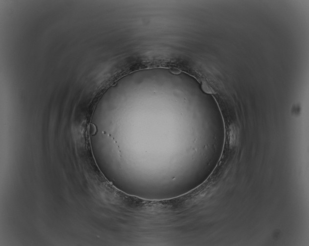 X0000093461059200710191119