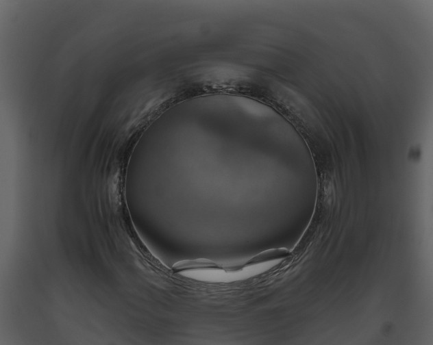 X0000093461060200710191119