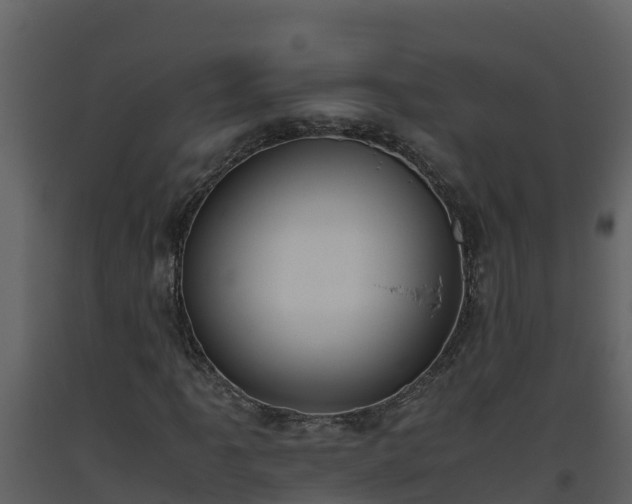 X0000093461061200710191119