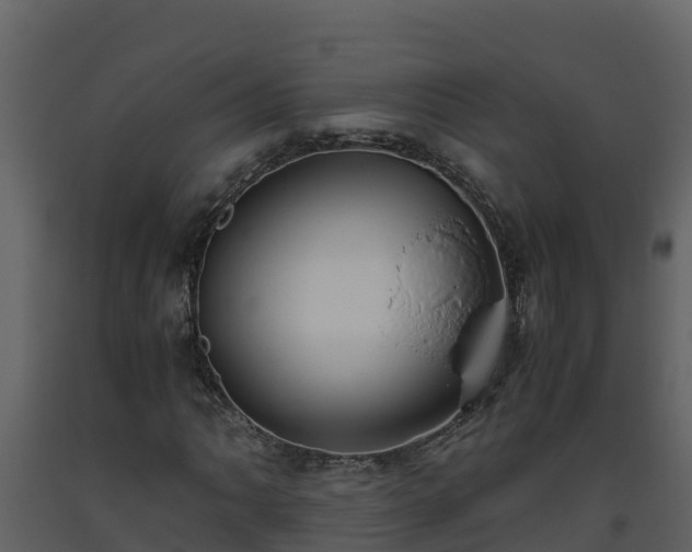 X0000093461062200710191119