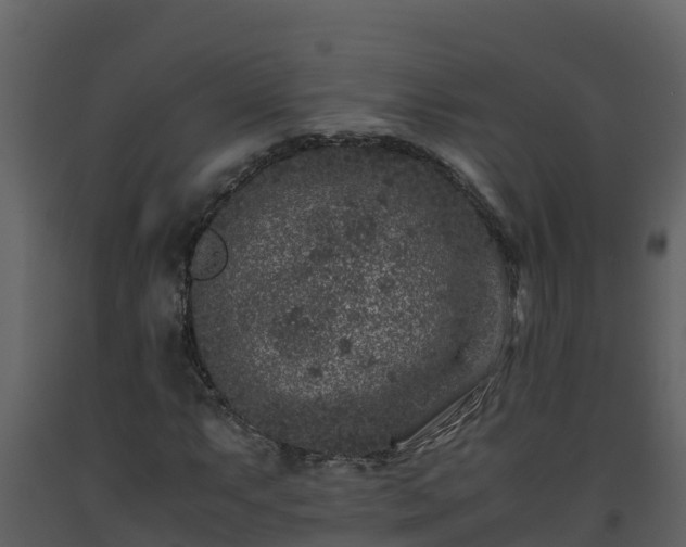 X0000093461063200710191119