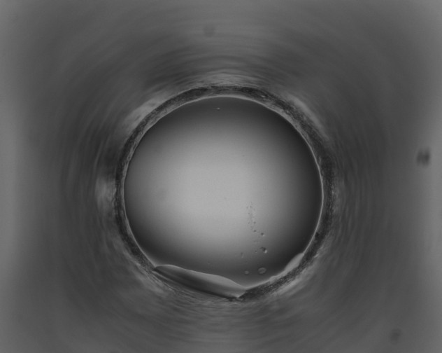 X0000093461065200710191119