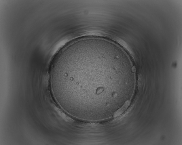 X0000093461067200710191119