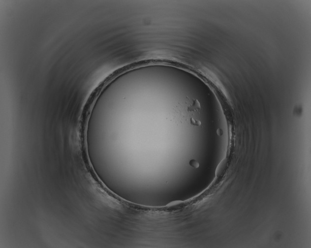 X0000093461068200710191119