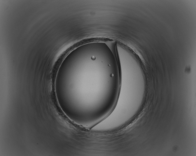 X0000093461069200710191119