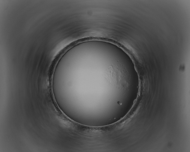 X0000093461070200710191119