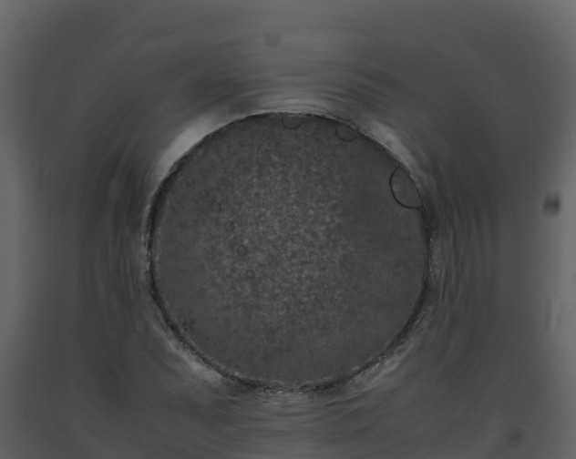 X0000093461071200710191119