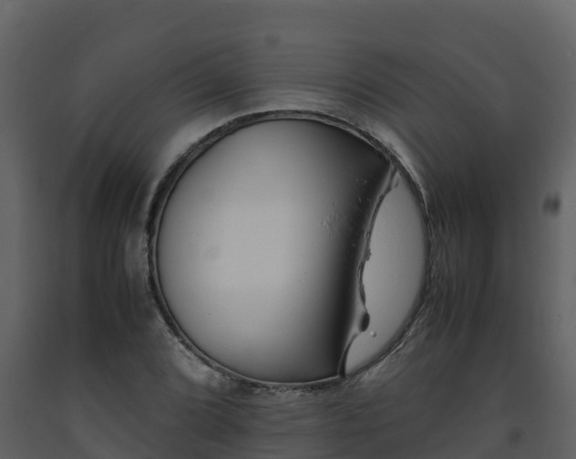 X0000093461072200710191119