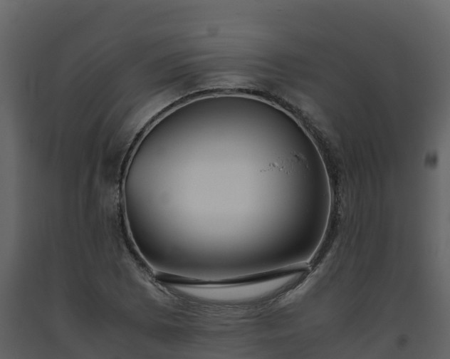 X0000093461073200710191119