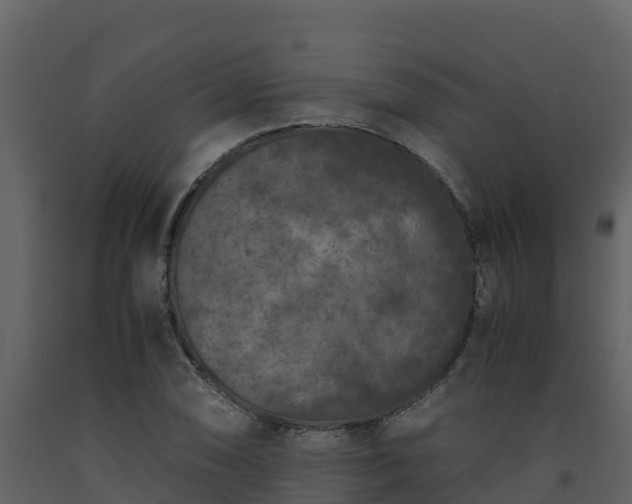 X0000093461074200710191119