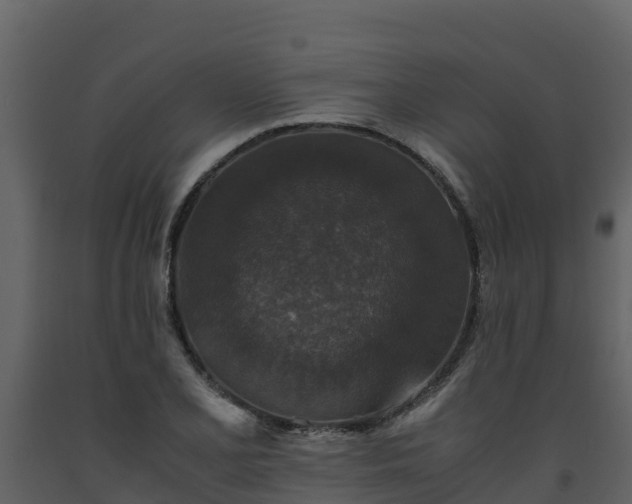 X0000093461077200710191119