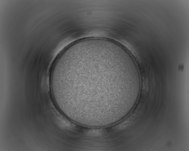 X0000093461078200710191119