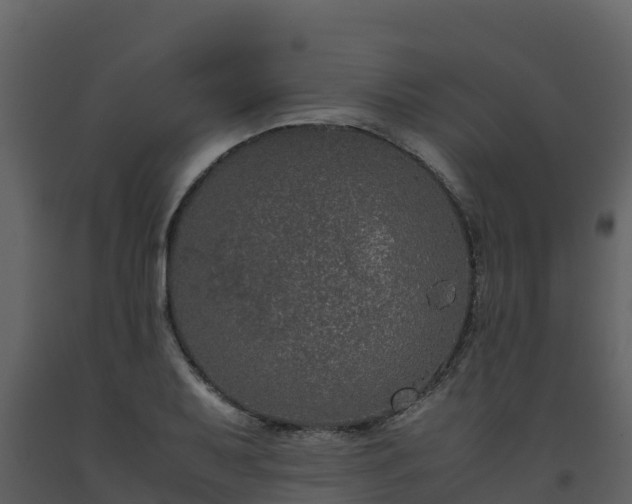 X0000093461079200710191119