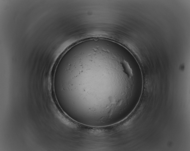 X0000093461082200710191119