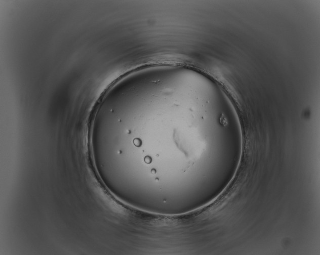 X0000093461083200710191119