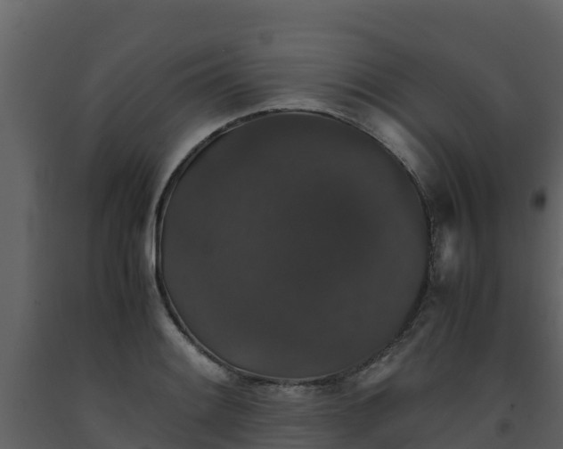 X0000093461084200710191119