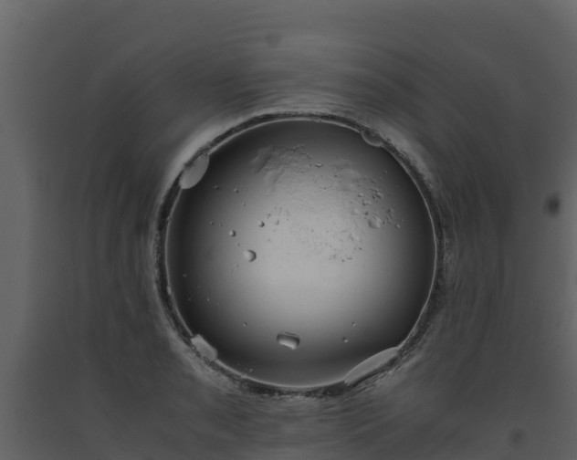 X0000093461085200710191119