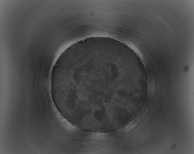 X0000093461088200710191119