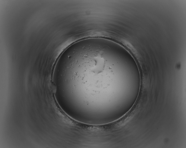 X0000093461089200710191119