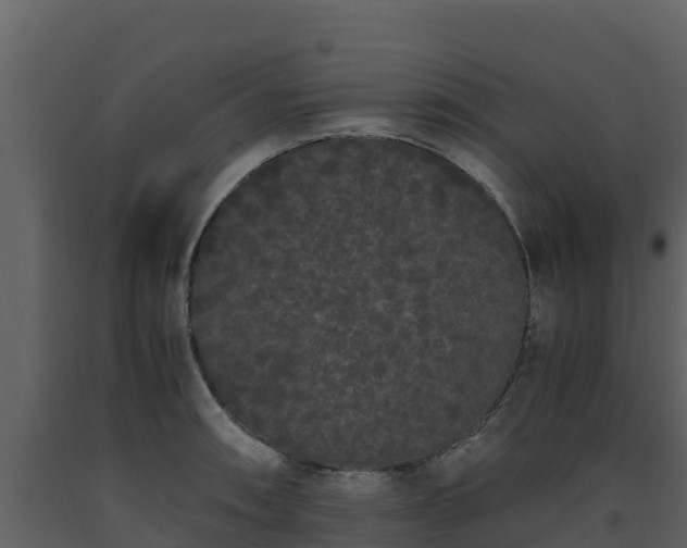 X0000093461090200710191119