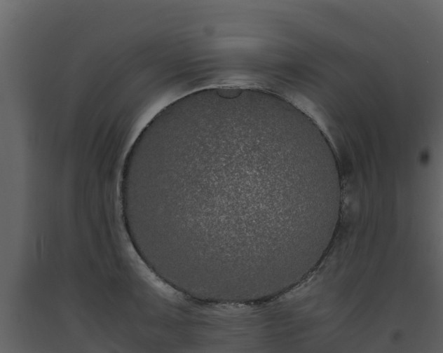 X0000093461091200710191119