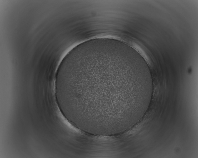 X0000093461092200710191119