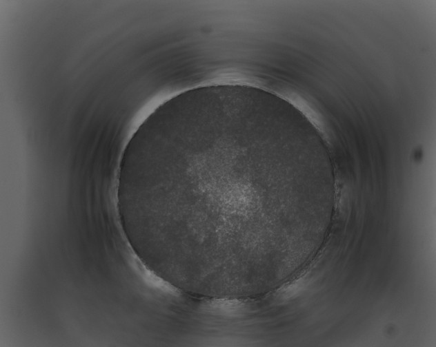 X0000093461094200710191119