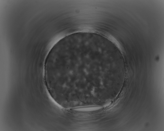 X0000093461095200710191119