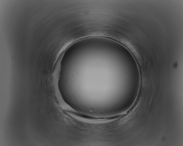 X0000093461097200710191118