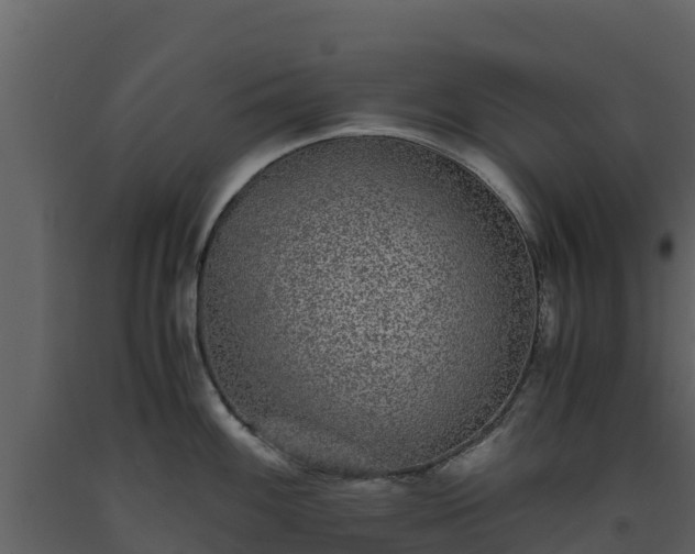 X0000093461100200710191118