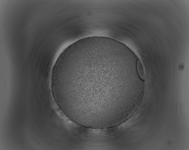 X0000093461104200710191118