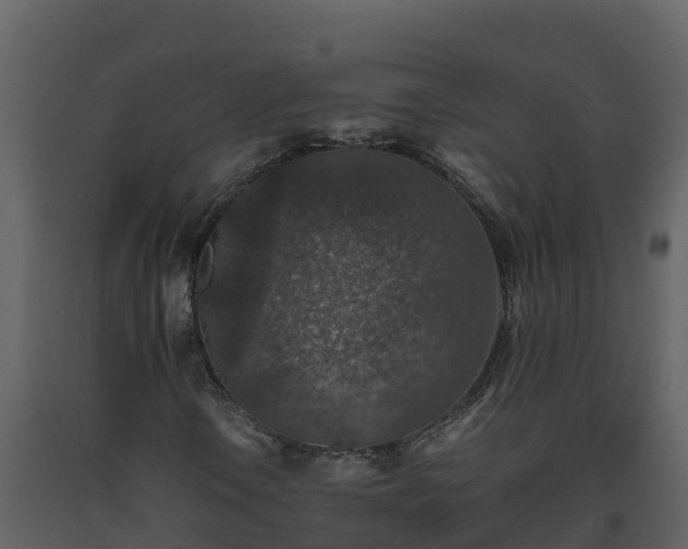 X0000093461106200710191118