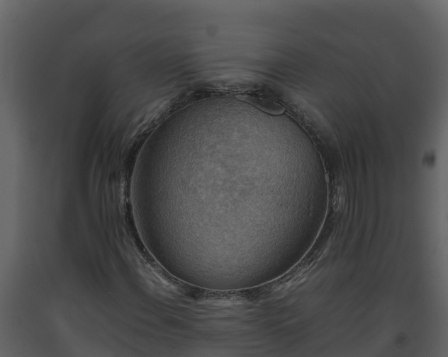 X0000093461108200710191118