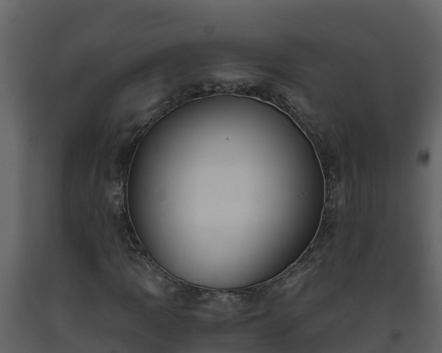 X0000093461109200710191118