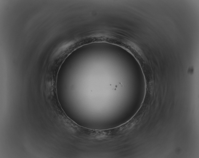 X0000093461111200710191118